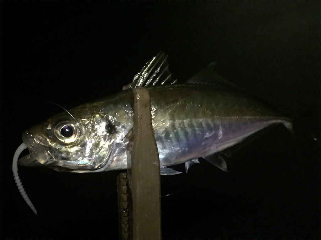 f:id:esojima3:20190608012729j:image