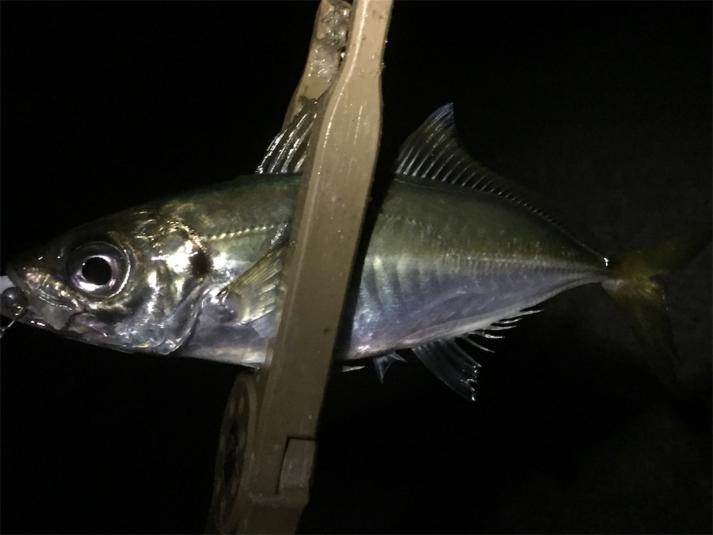 f:id:esojima3:20190608012732j:image