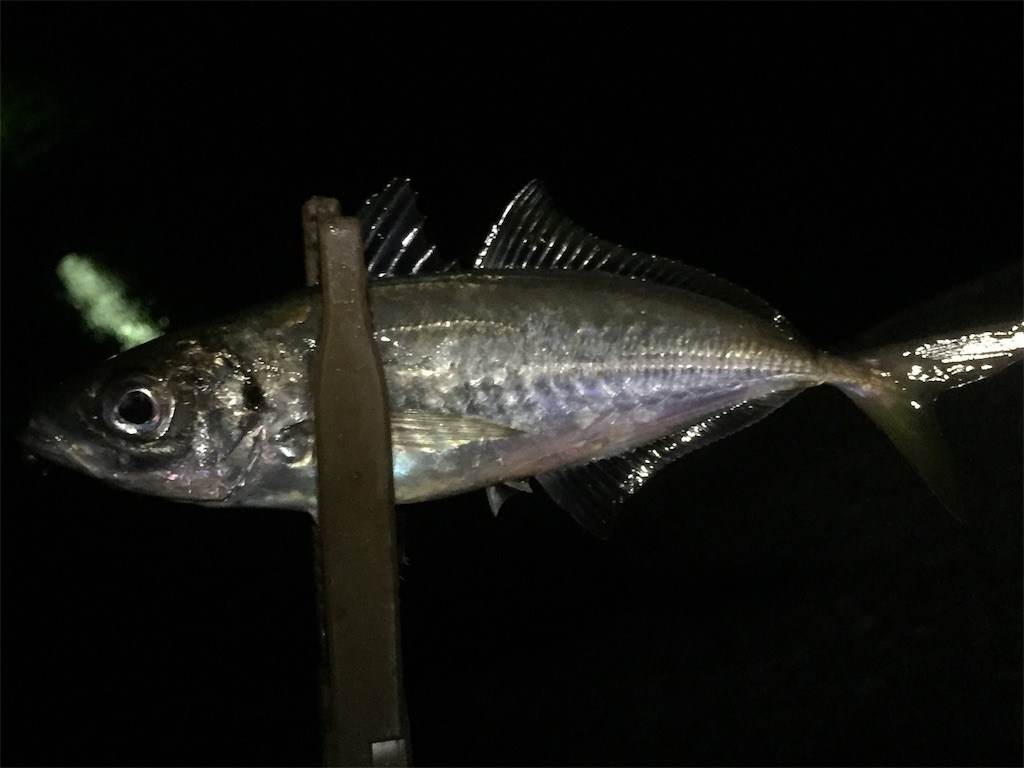 f:id:esojima3:20190608012735j:image