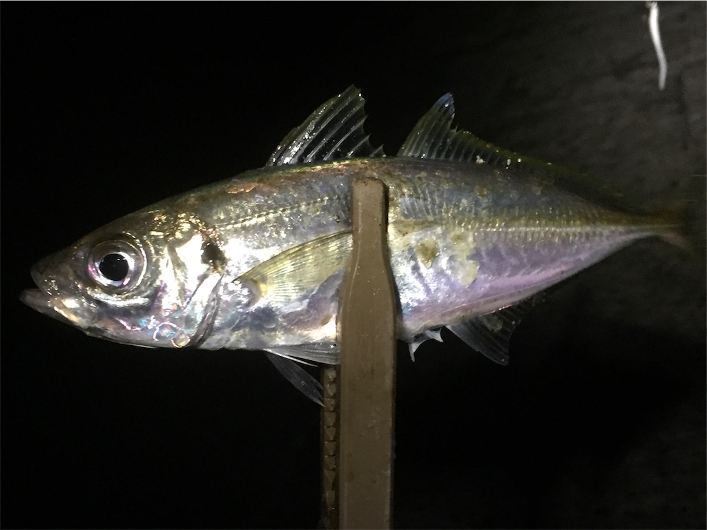 f:id:esojima3:20190608012738j:image