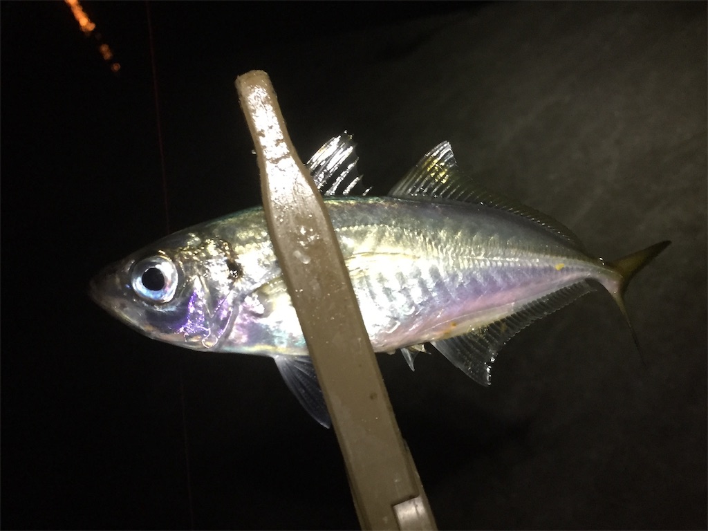 f:id:esojima3:20190608012741j:image