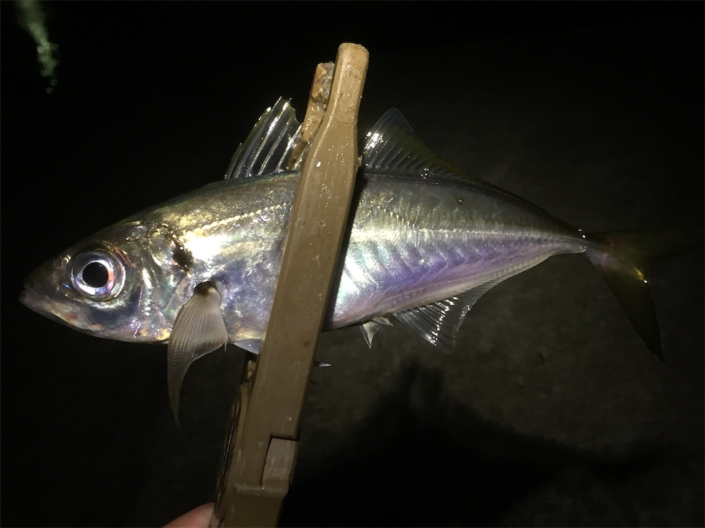 f:id:esojima3:20190608012744j:image