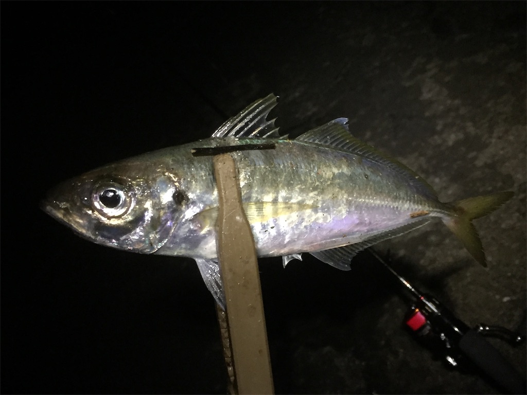 f:id:esojima3:20190609162306j:image f:id:esojima3:20190609162306j:image