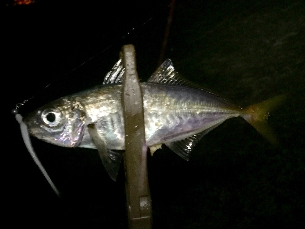 f:id:esojima3:20190609162314j:image f:id:esojima3:20190609162314j:image