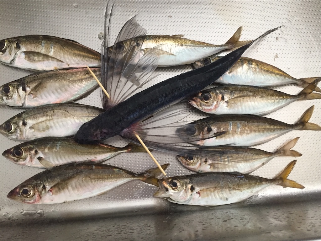 f:id:esojima3:20190609163241j:image f:id:esojima3:20190609163241j:image