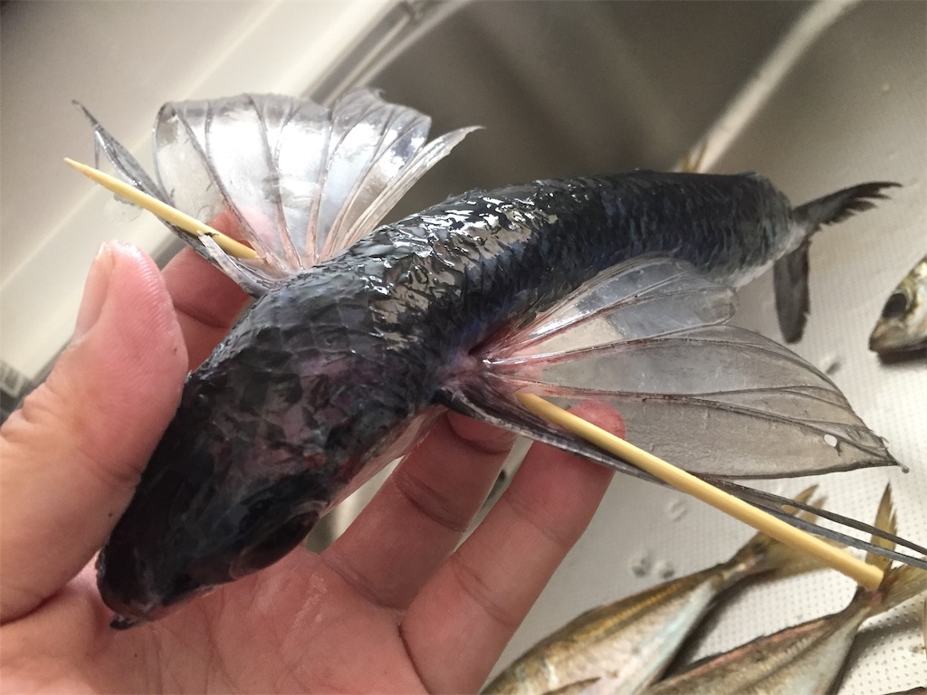f:id:esojima3:20190609163345j:image f:id:esojima3:20190609163345j:image