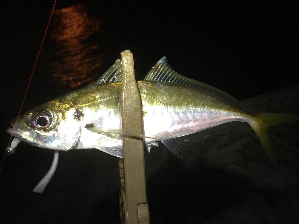 f:id:esojima3:20190611234611j:image