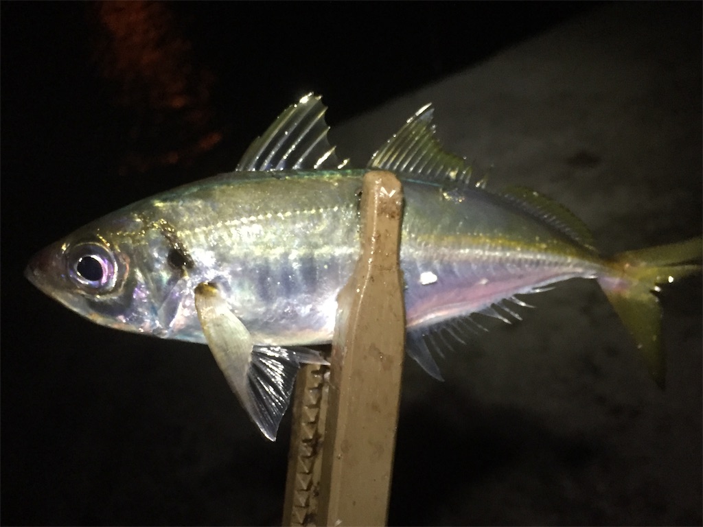 f:id:esojima3:20190611234620j:image