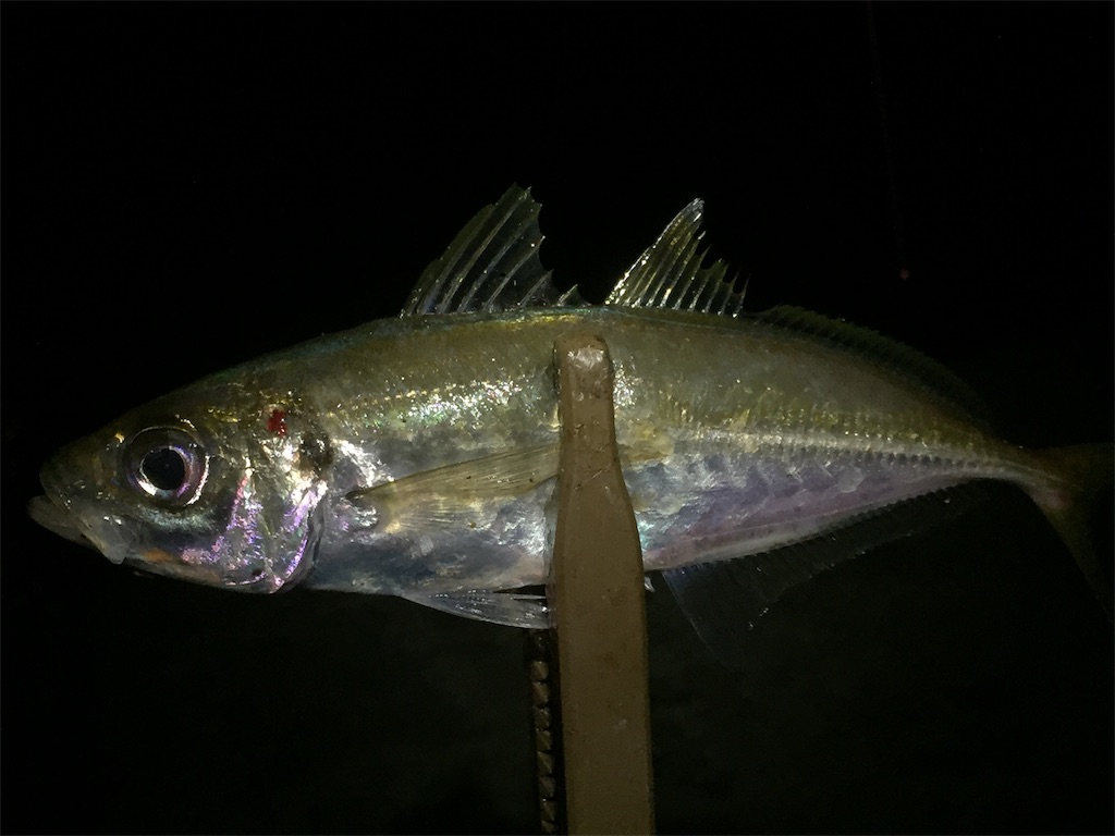 f:id:esojima3:20190611234627j:image