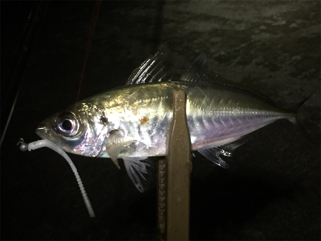 f:id:esojima3:20190612230734j:image