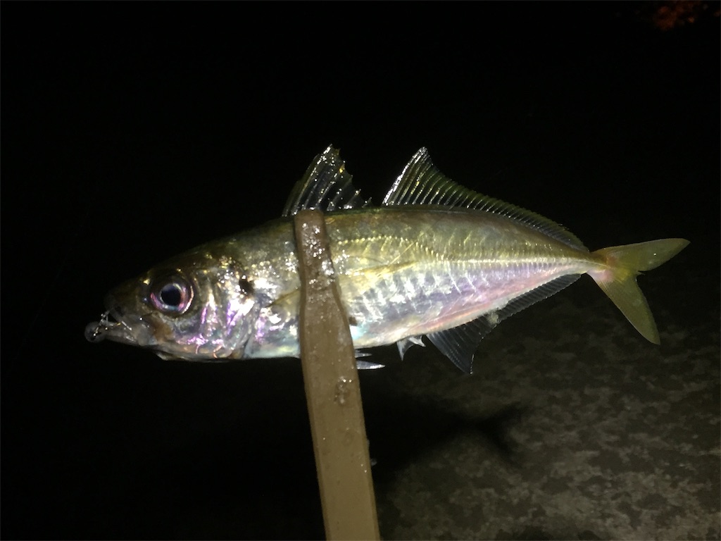 f:id:esojima3:20190612230738j:image
