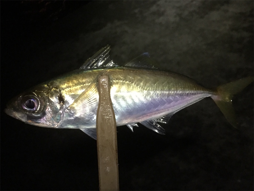 f:id:esojima3:20190612230742j:image