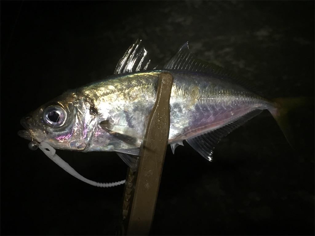 f:id:esojima3:20190612230751j:image