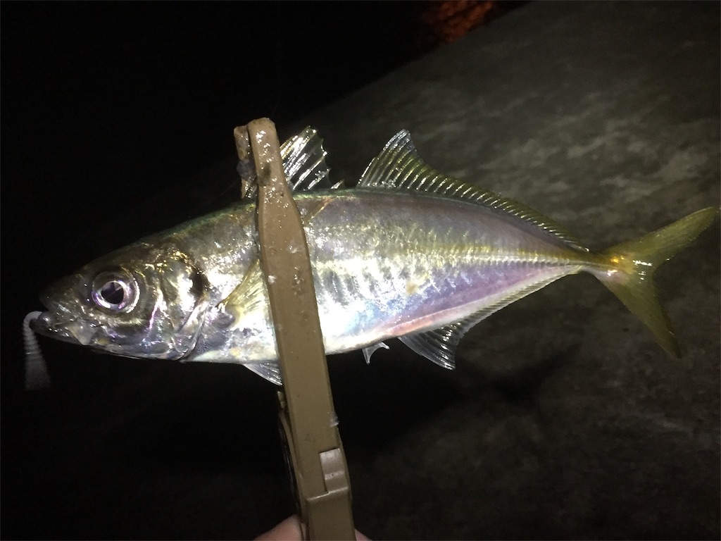 f:id:esojima3:20190612230754j:image
