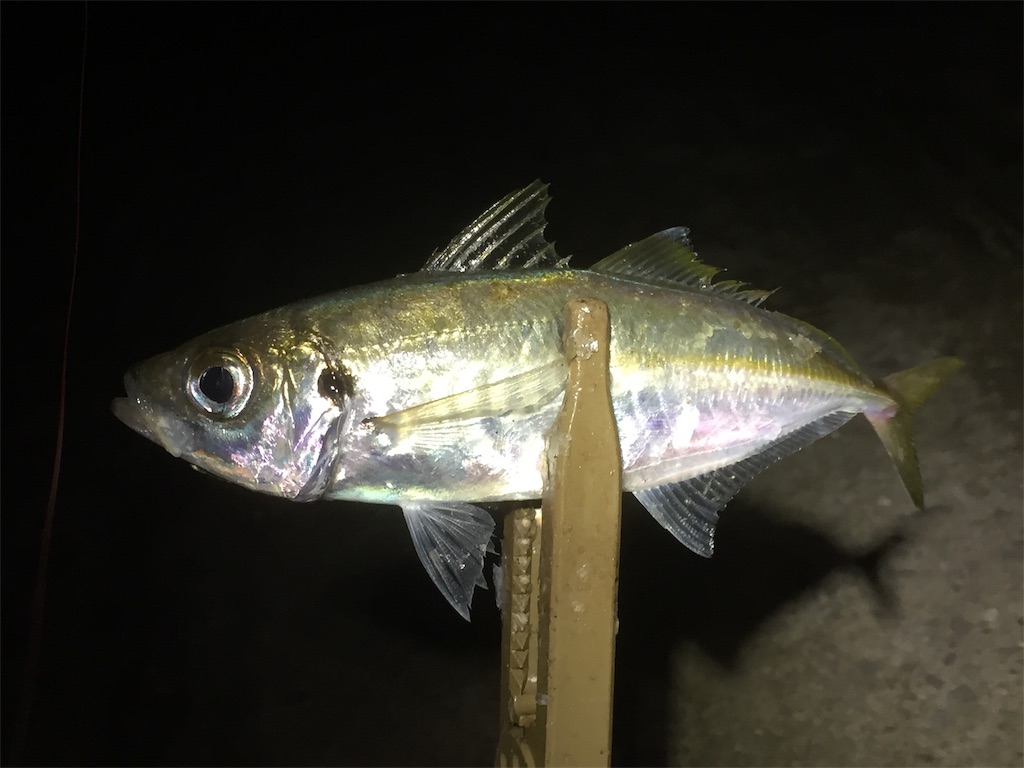 f:id:esojima3:20190612230802j:image