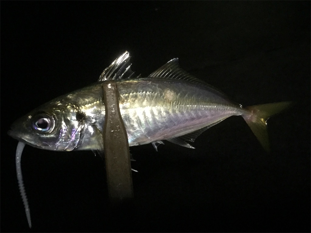 f:id:esojima3:20190613232921j:image