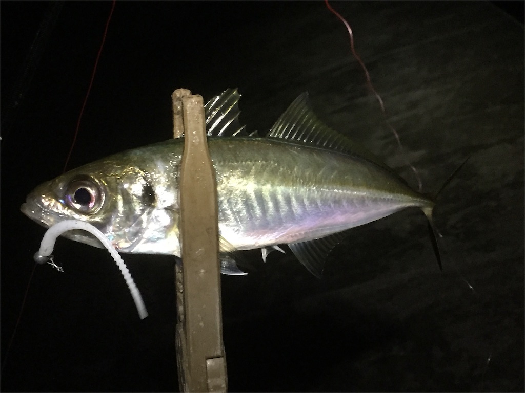f:id:esojima3:20190614055756j:image