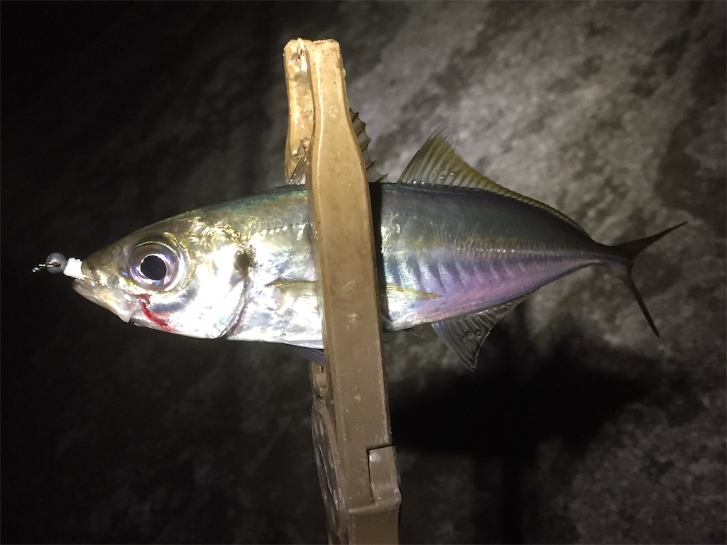 f:id:esojima3:20190614055759j:image