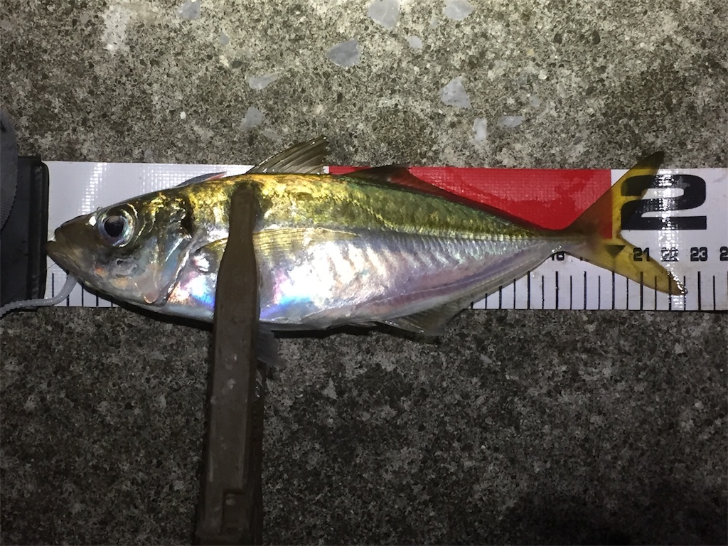 f:id:esojima3:20190614055918j:image