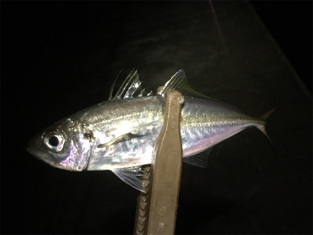 f:id:esojima3:20190614060200j:image