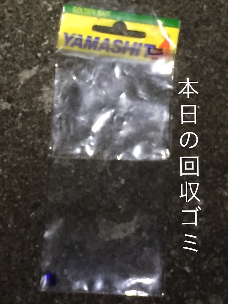 f:id:esojima3:20190614060203j:image
