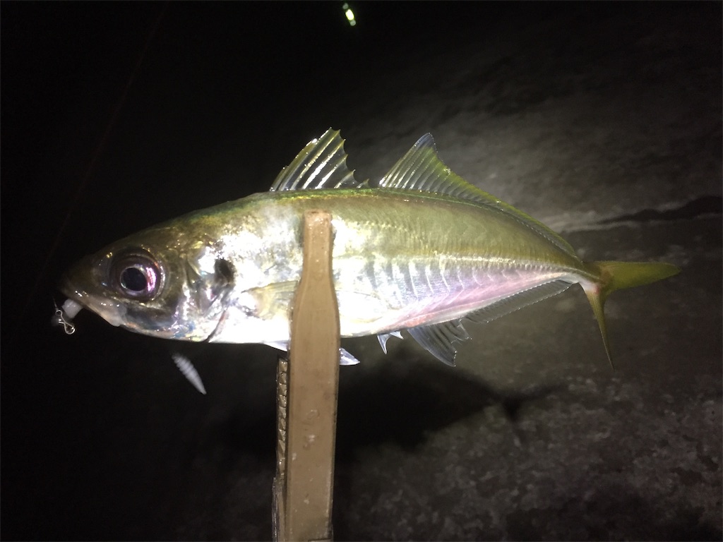 f:id:esojima3:20190614060206j:image