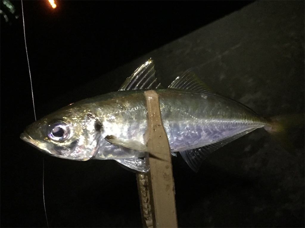 f:id:esojima3:20190614060212j:image