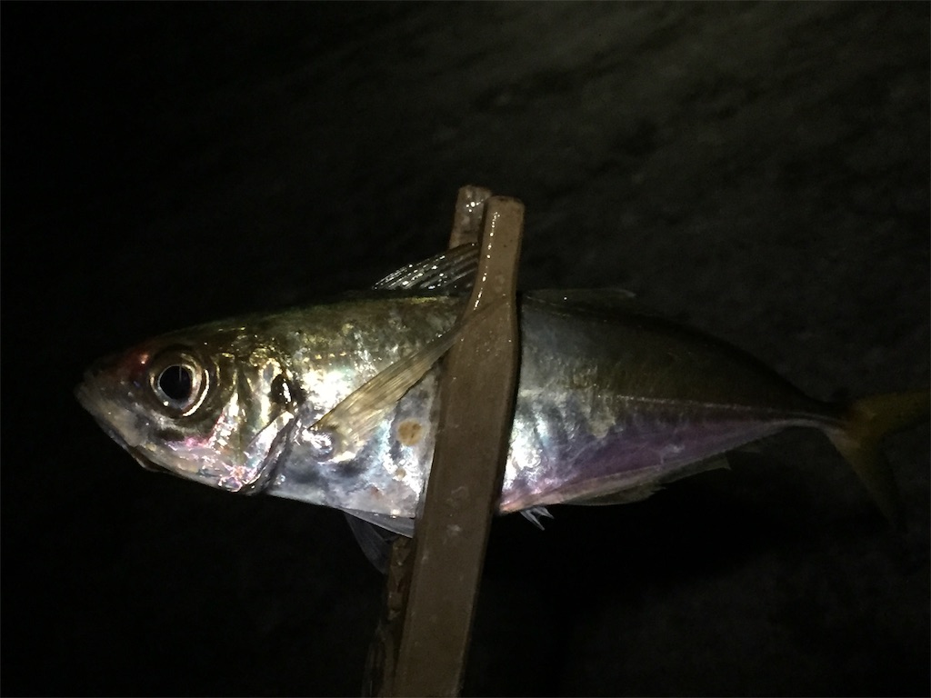 f:id:esojima3:20190614060215j:image