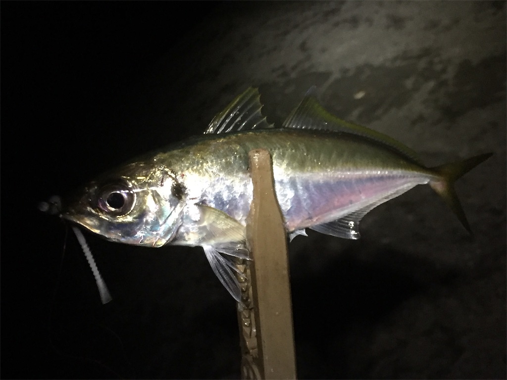 f:id:esojima3:20190614060218j:image