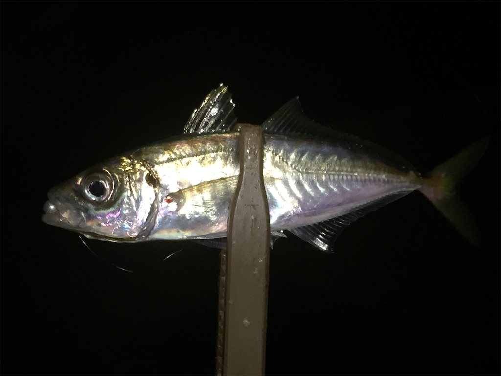 f:id:esojima3:20190616083405j:image