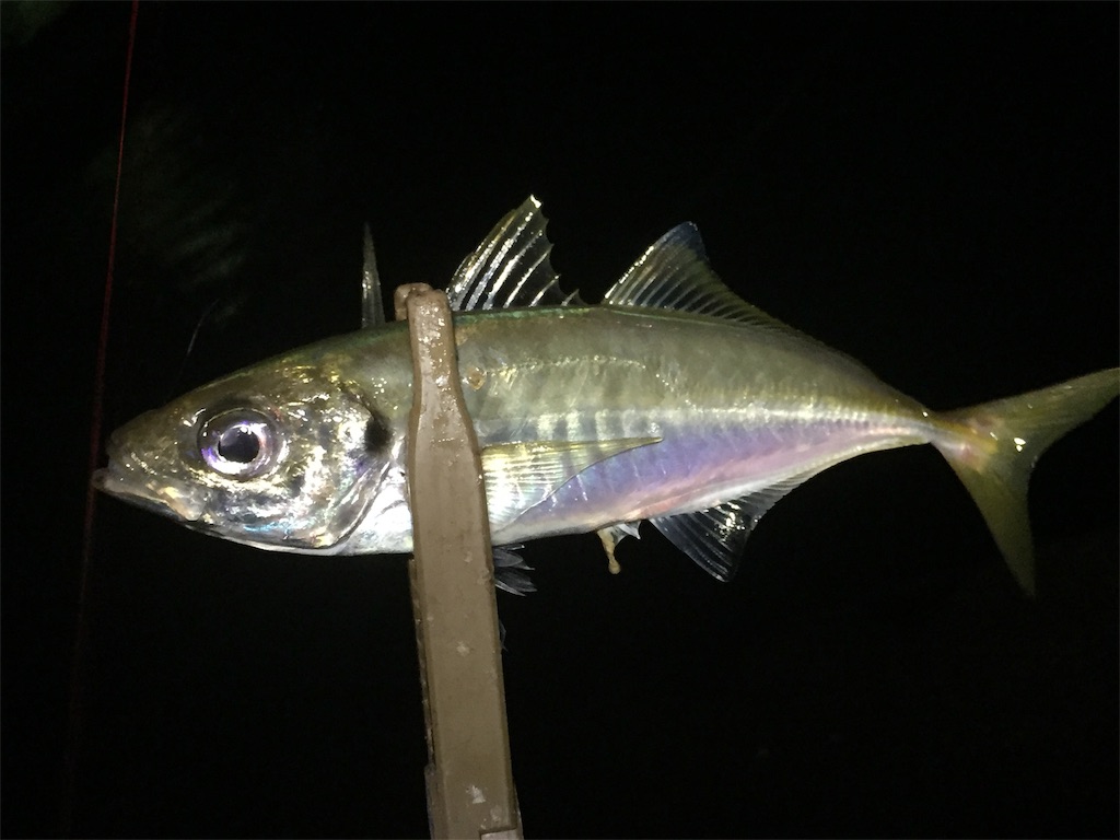 f:id:esojima3:20190616083841j:image