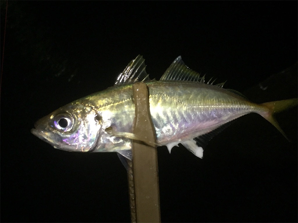 f:id:esojima3:20190616083845j:image