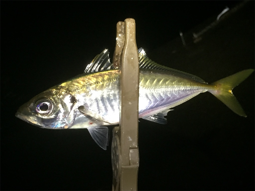 f:id:esojima3:20190616083848j:image