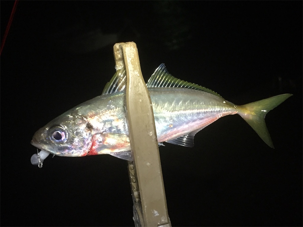 f:id:esojima3:20190616083851j:image