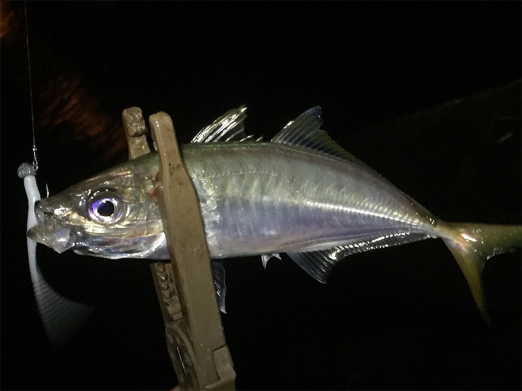 f:id:esojima3:20190616083855j:image