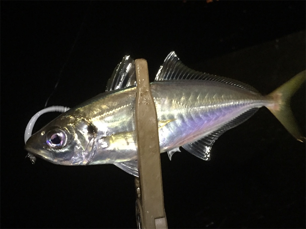 f:id:esojima3:20190616090753j:image