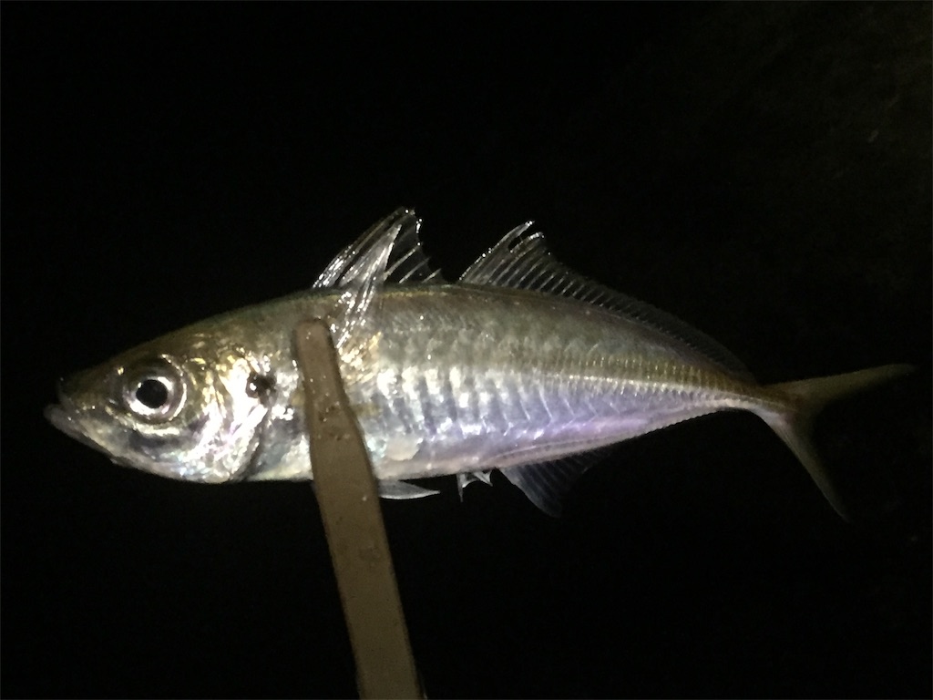 f:id:esojima3:20190616090756j:image