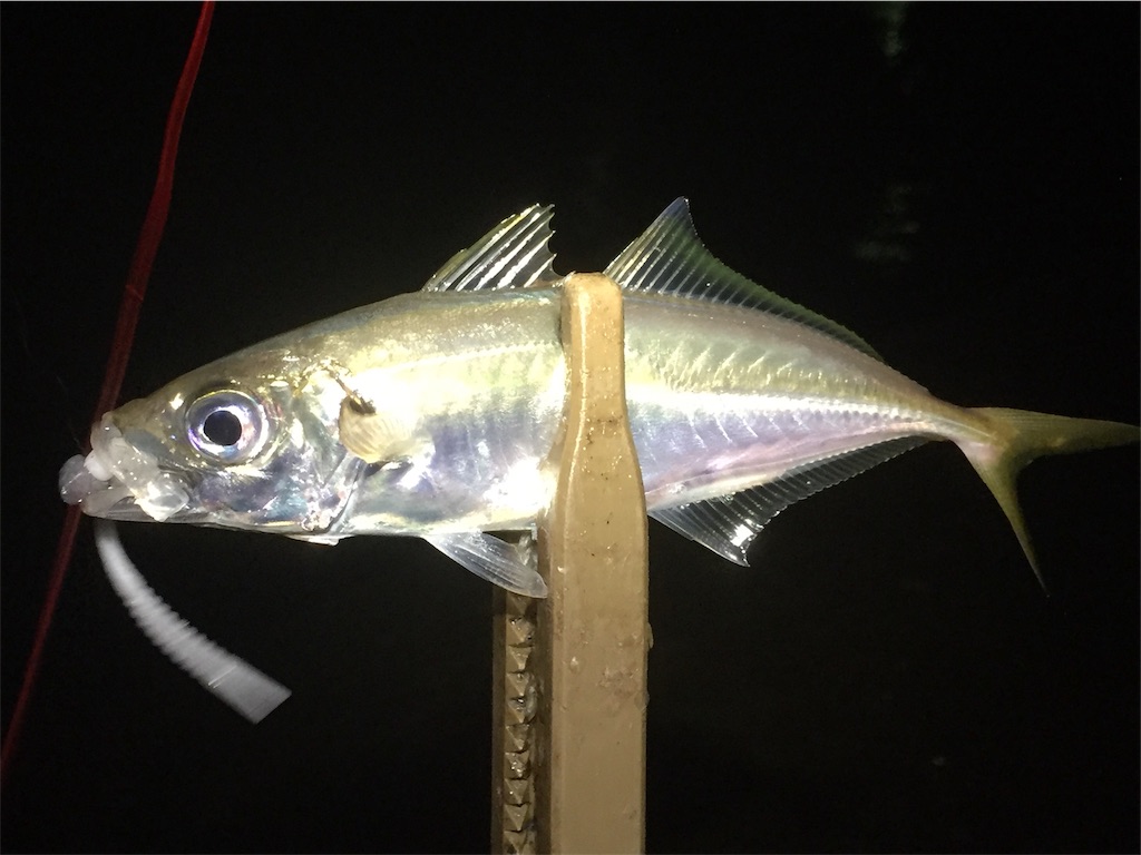 f:id:esojima3:20190616090759j:image