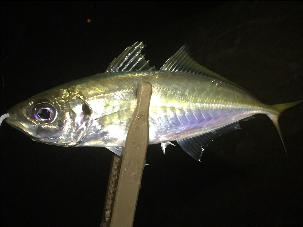 f:id:esojima3:20190616090802j:image