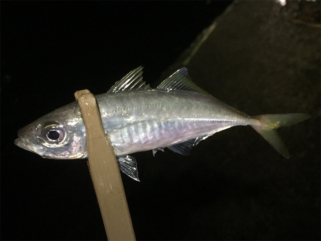 f:id:esojima3:20190617202716j:image f:id:esojima3:20190617202716j:image