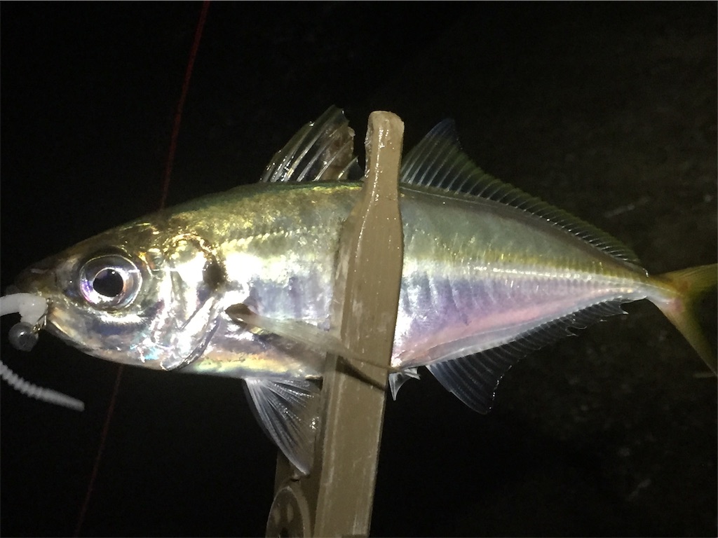f:id:esojima3:20190617202720j:image f:id:esojima3:20190617202720j:image