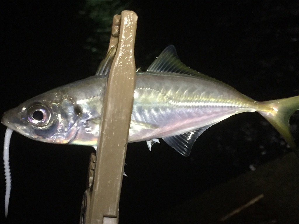f:id:esojima3:20190617202724j:image f:id:esojima3:20190617202724j:image