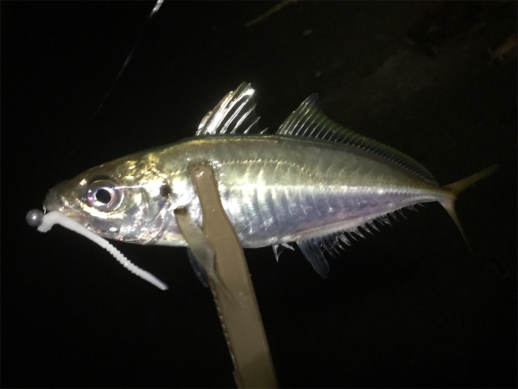 f:id:esojima3:20190617202728j:image f:id:esojima3:20190617202728j:image