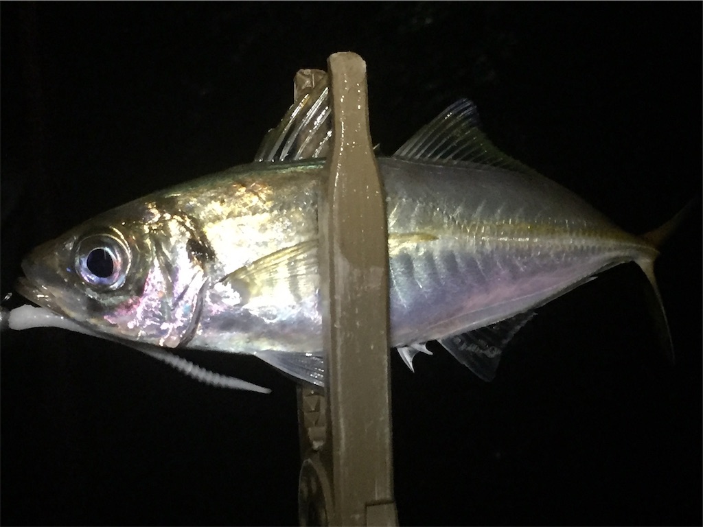 f:id:esojima3:20190617202735j:image f:id:esojima3:20190617202735j:image
