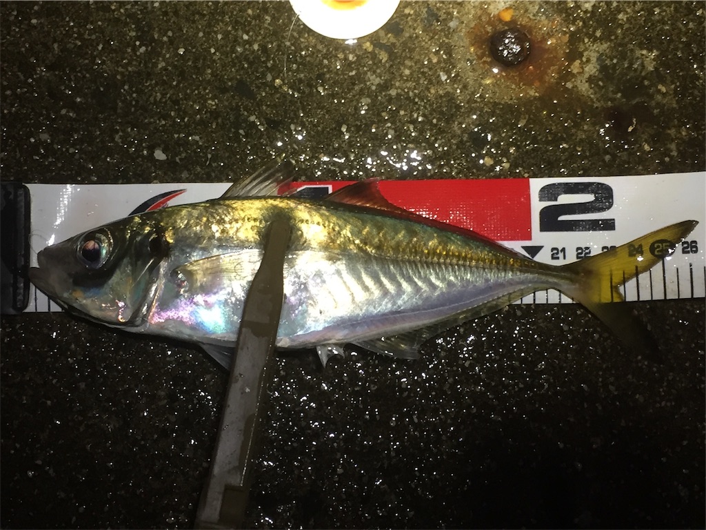 f:id:esojima3:20190617202826j:image f:id:esojima3:20190617202826j:image