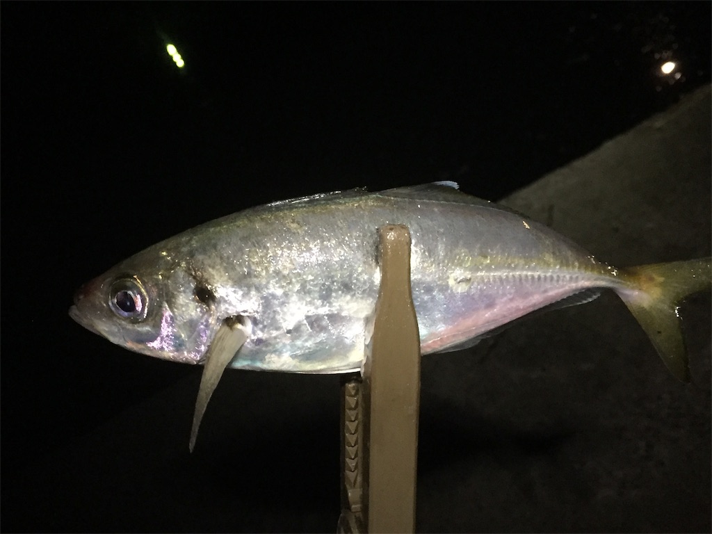 f:id:esojima3:20190617235346j:image