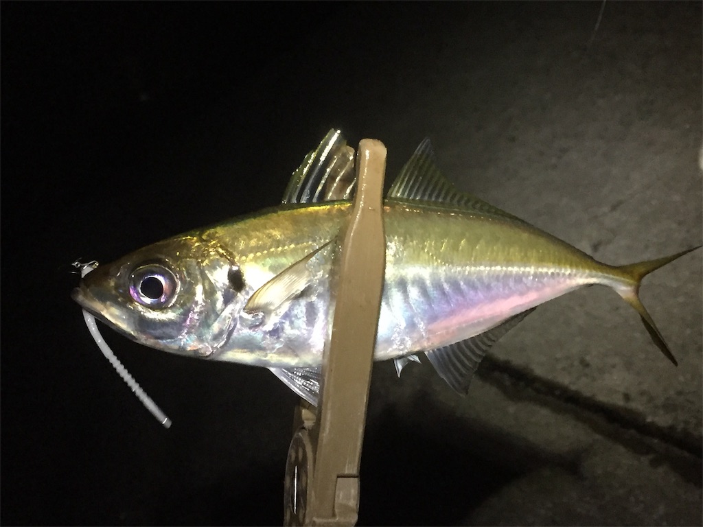 f:id:esojima3:20190617235349j:image