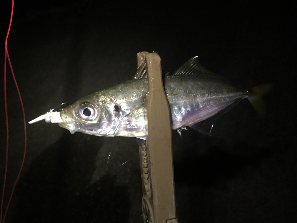 f:id:esojima3:20190617235353j:image