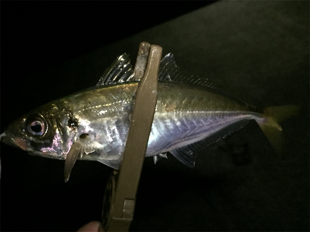 f:id:esojima3:20190617235454j:image