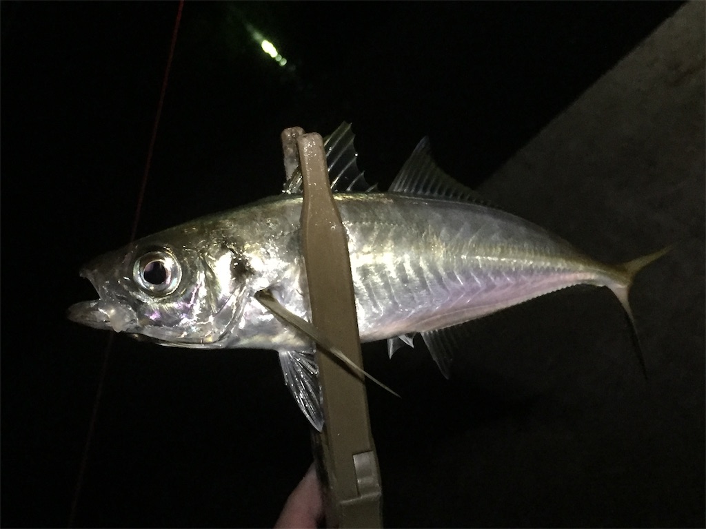 f:id:esojima3:20190617235457j:image